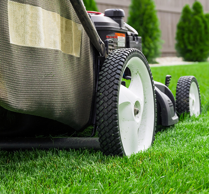 SERVICES – LAWNCARE SERVICES - LAWNCARE