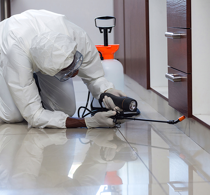 SERVICES – PEST CONTROL SERVICES - PEST CONTROL